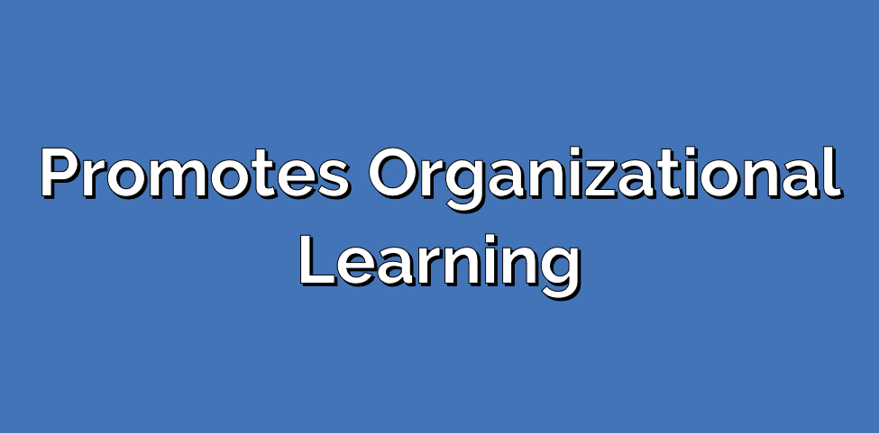 Promotes Organizational Learning