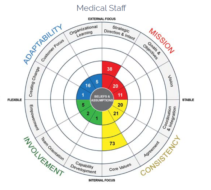 Case Study - Adventist Health System - Denison Consulting