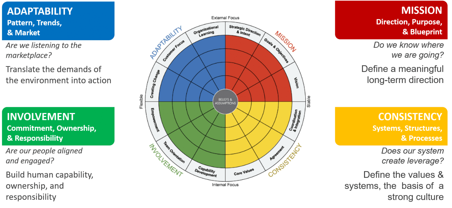 Coaching in Context | TRANSFORM Article | Denison Consulting