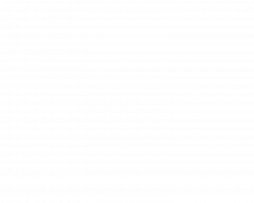 Razum Partner Case Study